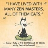Méditations sur "Geste d’équilibre: un guide pour la conscience, l’auto-guérison et la méditation" par le maître bouddhiste tibétain, Tarthang Tulku 2