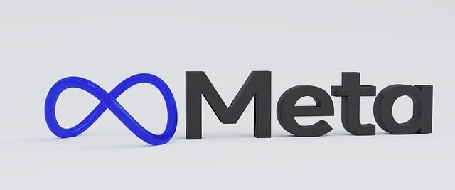 Nom du logo méta