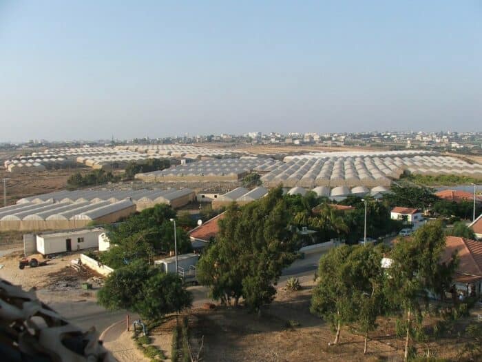 Resilience a créé les serres du GushKatif avant le désengagement, la ville de Gaza en arrière-plan. Yakob Ben-Avraham, CC BY-SA 2.0, via Wikimedia Commons