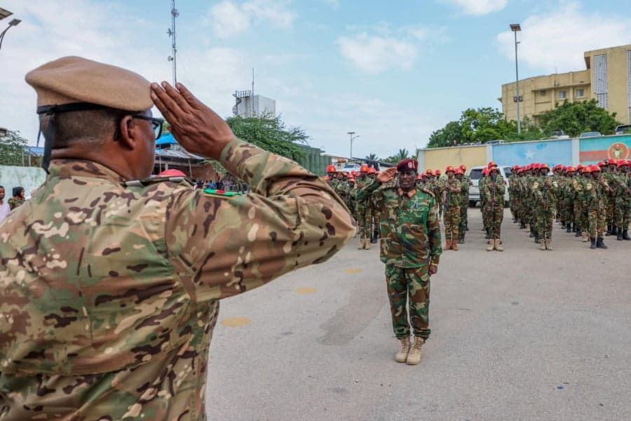 Somalie et les troupes de l’UA. Photo : Palais présidentiel somalien, Villa Somalia.