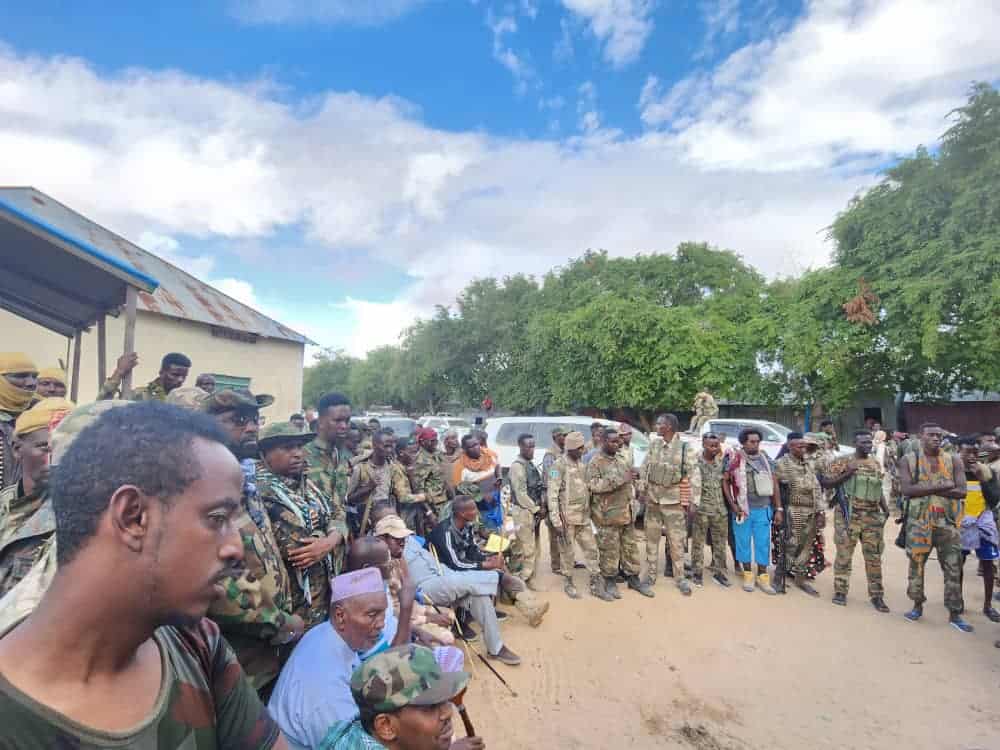 Combattants de la liberté somaliens